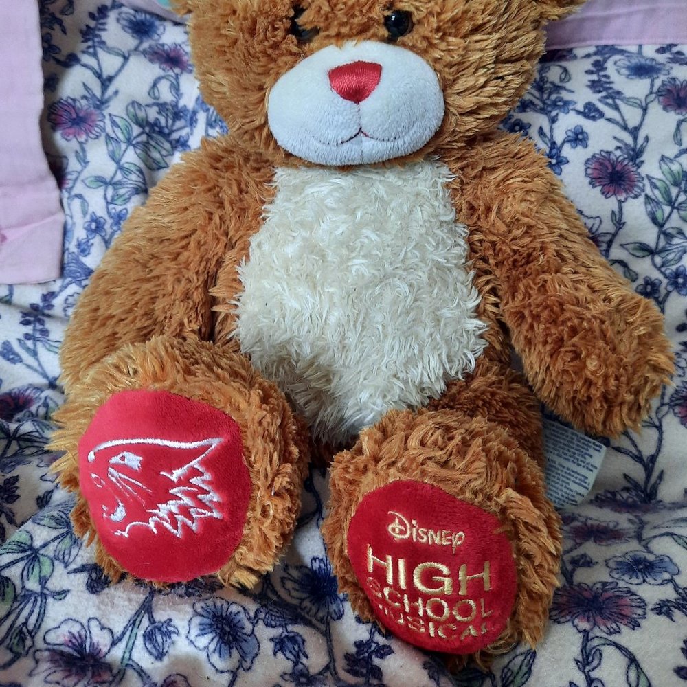 High School Musical Build-a-Bear